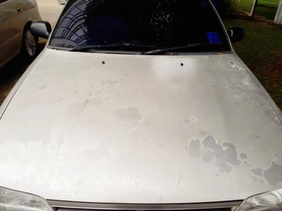 Kui kaua värvikaitsekile kestab? Kuidas pikendada selle eluiga?